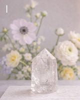 Oh La Exclusive Clear Quartz Torn