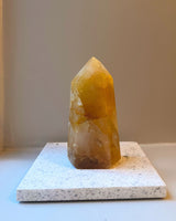 Oh La Exclusive Golden Healer Torn