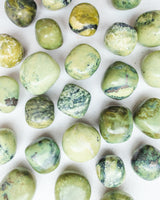 Limited Edition: Serpentin