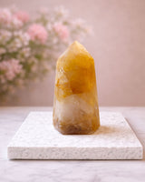 Oh La Exclusive Golden Healer Torn