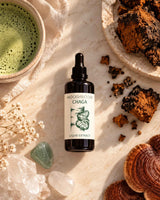 Chaga by Mooshroom