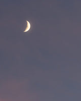 New Moon - 11-Day Morning Meditations with Sandra Andreis 21/9
