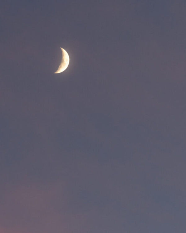 New Moon - 11-Day Morning Meditations with Sandra Andreis 21/9