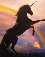 ✨ ONLINE NEW YEAR RITUAL 18/1 ★ The first New Moon of 2026 with Sandra Andreis