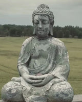 New Moon - 11-Day Morning Meditations with Sandra Andreis 21/9